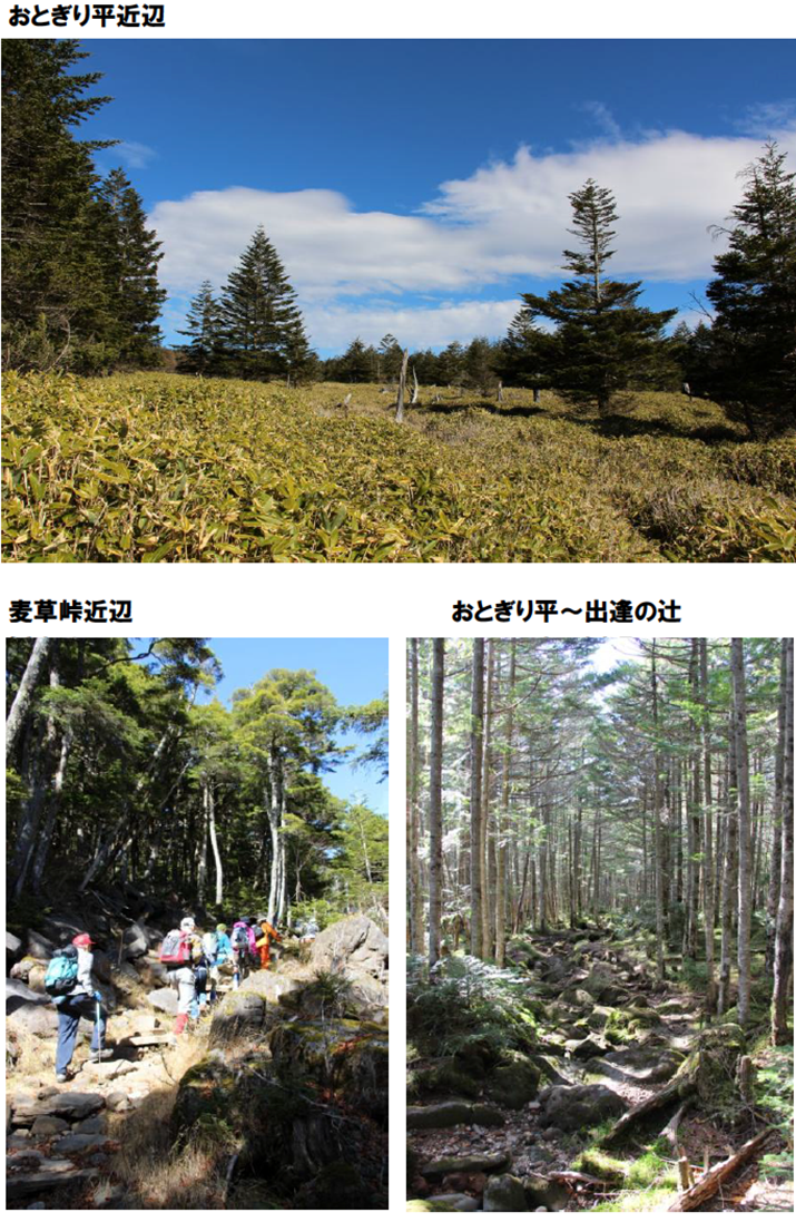 第2回　区民ハイキング 長野県 北八ヶ岳に行ってきました。